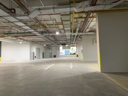 Ct Foodnex (D25), Warehouse #483532701